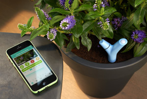 El Parrot Pot ayuda a cuidar el bienestar de las plantas del hogar.