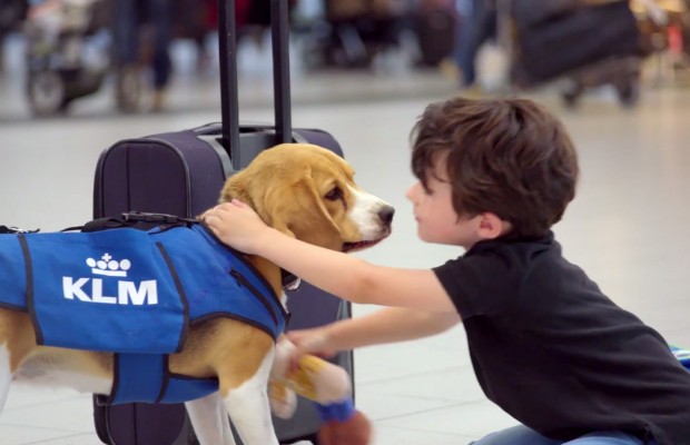  KLM: Lost and Found