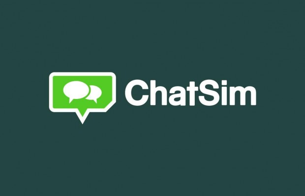  ChatSim