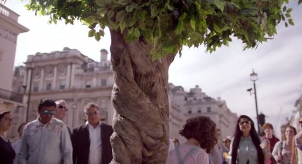  Cuando un árbol está más seguro lejos de casa