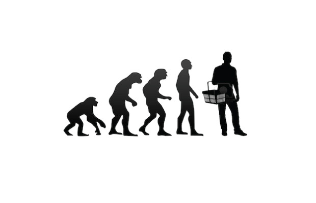 EVOLUCIÓN