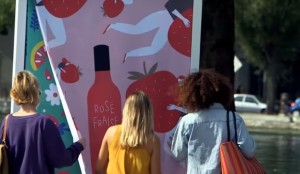 fruits and wine
