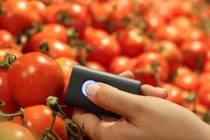 valor nutricional