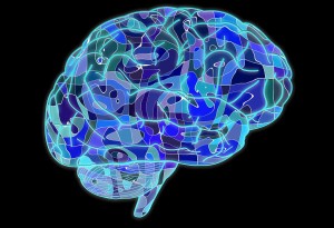 Entender la manera en que el cerebro experimenta las marcas es clave para el marketing.