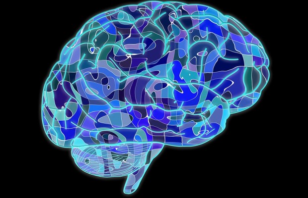  Cómo el cerebro humano experimenta tu marca