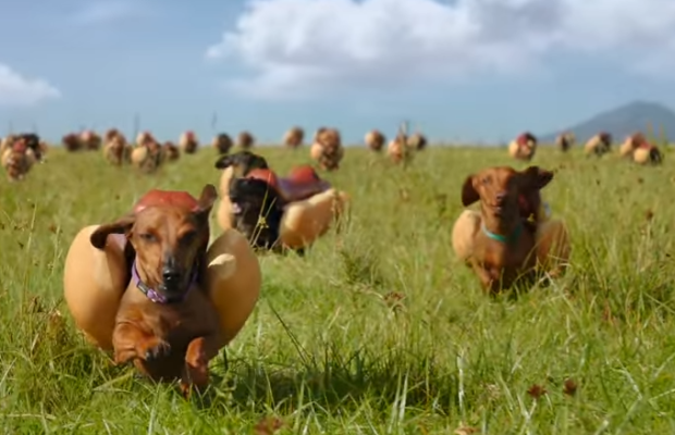 Heinz busca apelar al sentimentalismo para presentar su portafolio de productos.