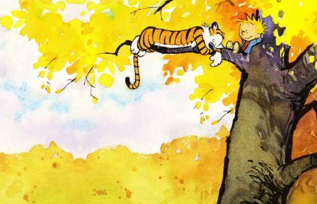  Insights recomienda: Dear Mr. Watterson