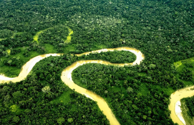  #TBT: las primeras campañas ecuatorianas que ganaron un León