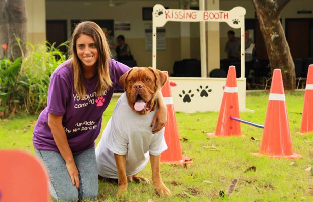  Marcas fieles para los amigos de cuatro patas