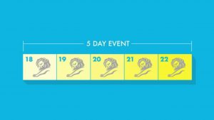cannes lions 2018 duracion festival