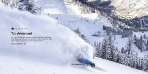 Print snowbird