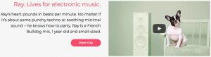 adoptify-ray