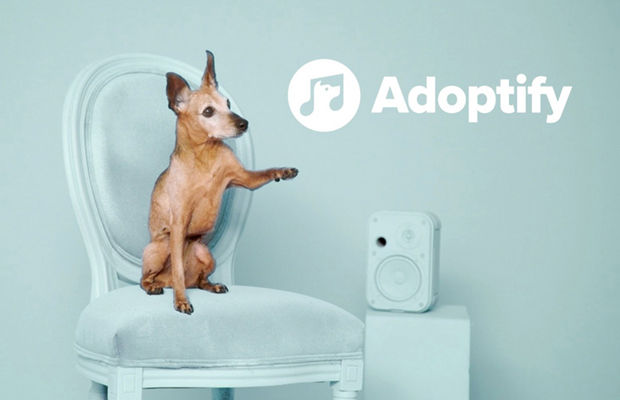  Spotify te recomienda al perro perfecto para ti