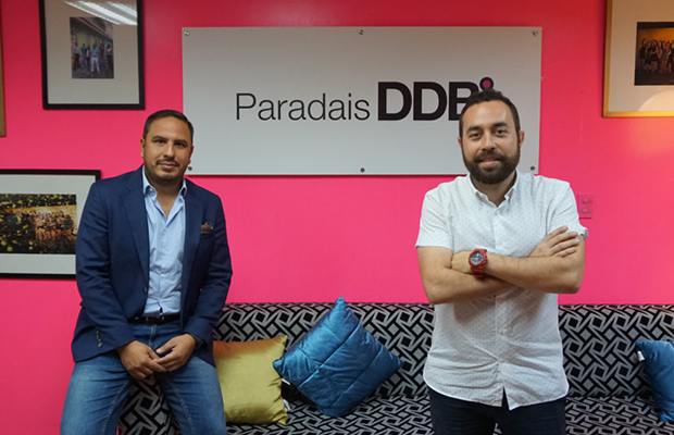 paradais ddb destacada