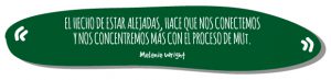 Quote-004-Cerveza-MUt-Lager