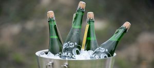 Imagen 003 MUt Lager