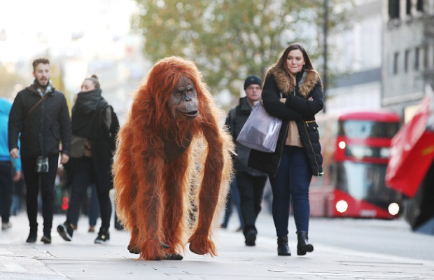  Un orangután robot que crea conciencia sobre el aceite de palma