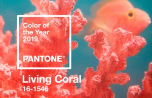 Destacada-Living-Coral-Pantone-2019