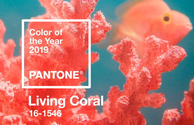  Living Coral: ¡el nuevo color del 2019 según Pantone!